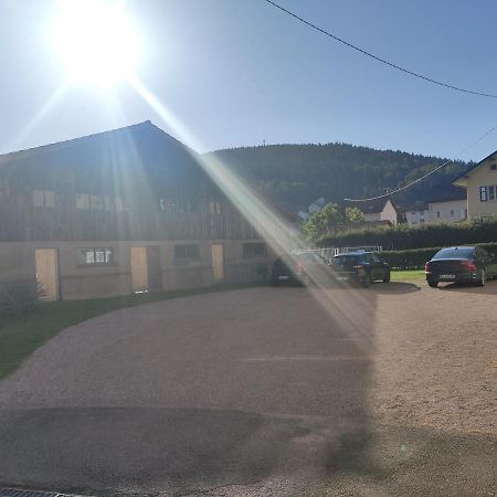 Ferienwohnung Le Cozy Nest Gérardmer Exterior foto